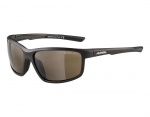 Alpina Defey okulary sportowe tin matt-black