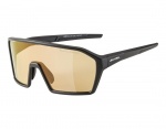 Alpina Ram HVLM+ okulary sportowe black matt